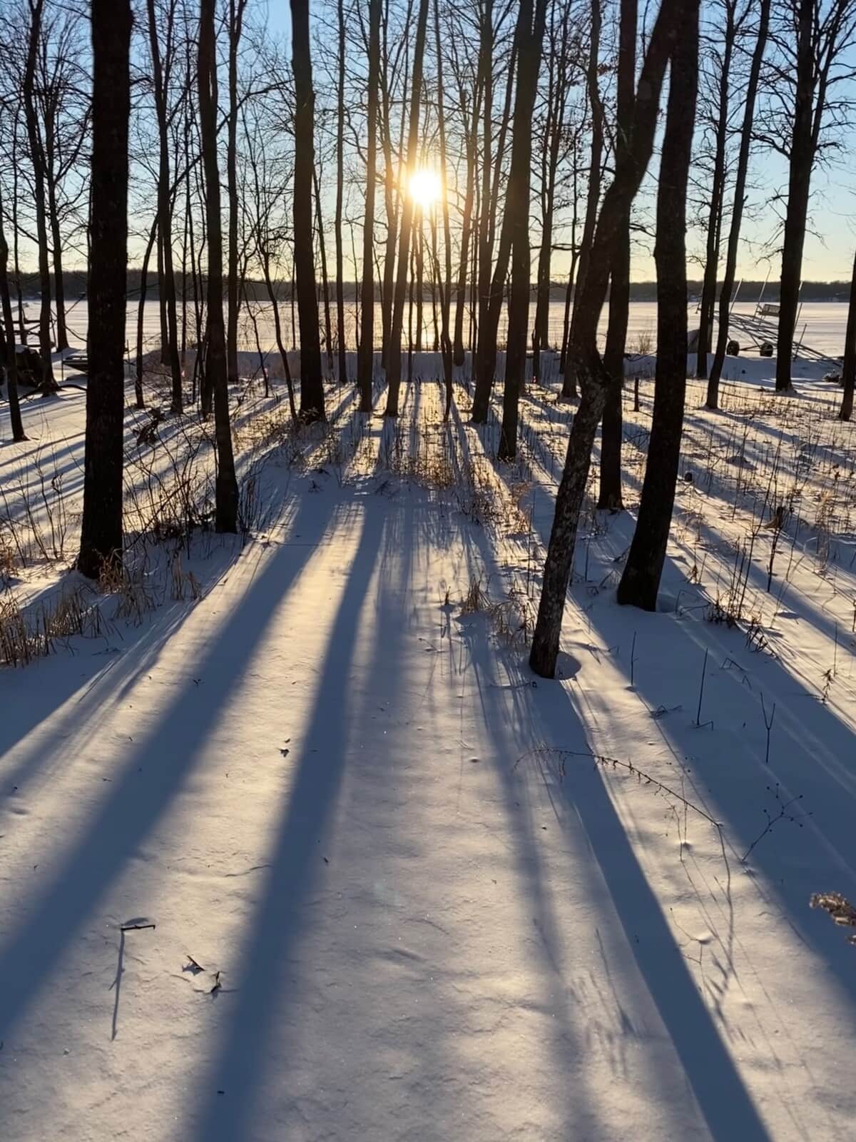 Winter Lake View