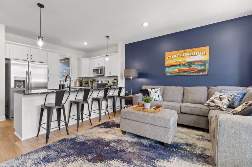 Open Concept Living Room and Kitchen