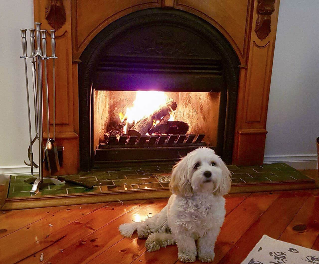 Parker Lodge Fireplace - Winter Only 