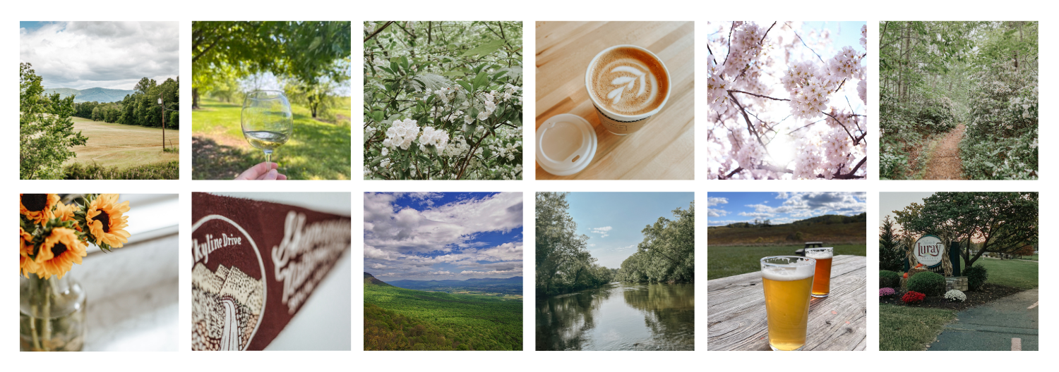 Spring Guide to Shenandoah National Park