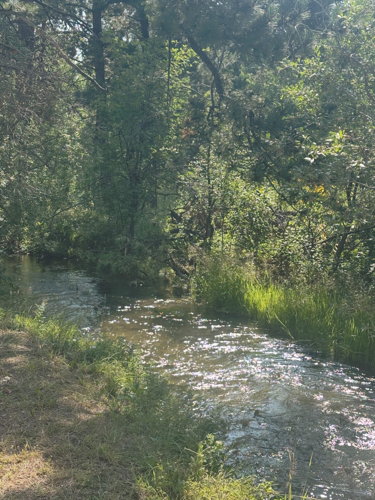 Creek 2