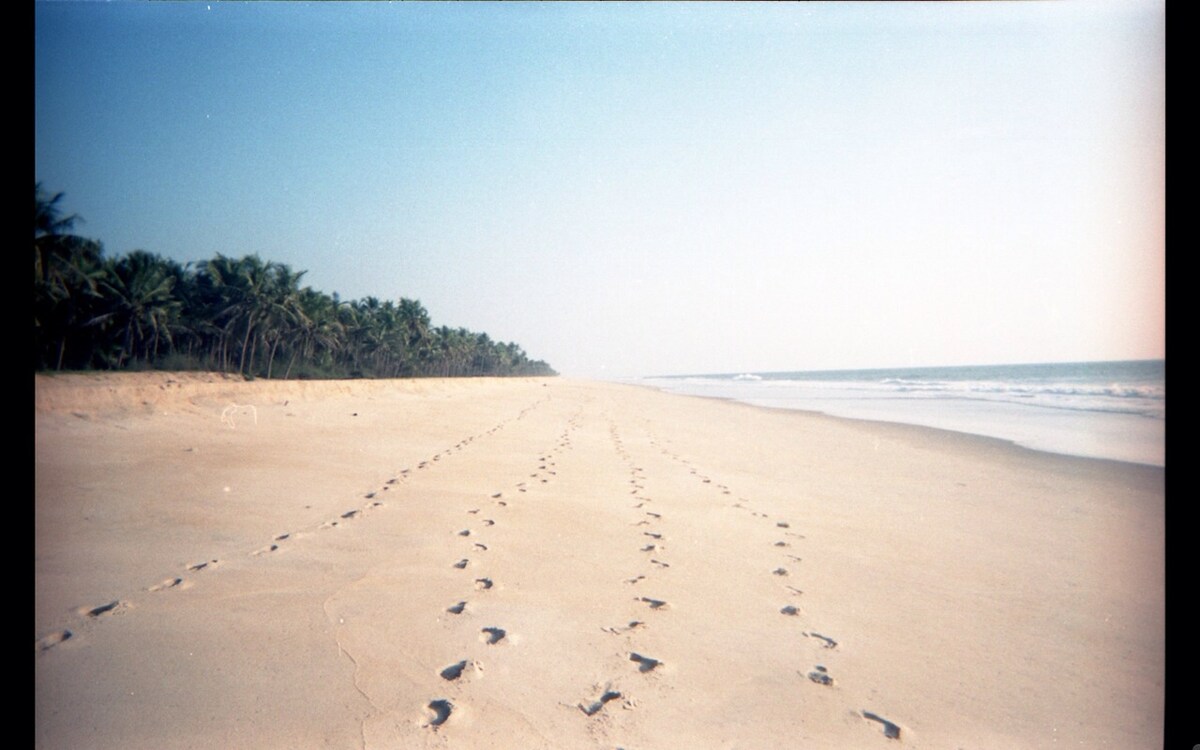 The Matsya House -Island Retreat, photo 9
