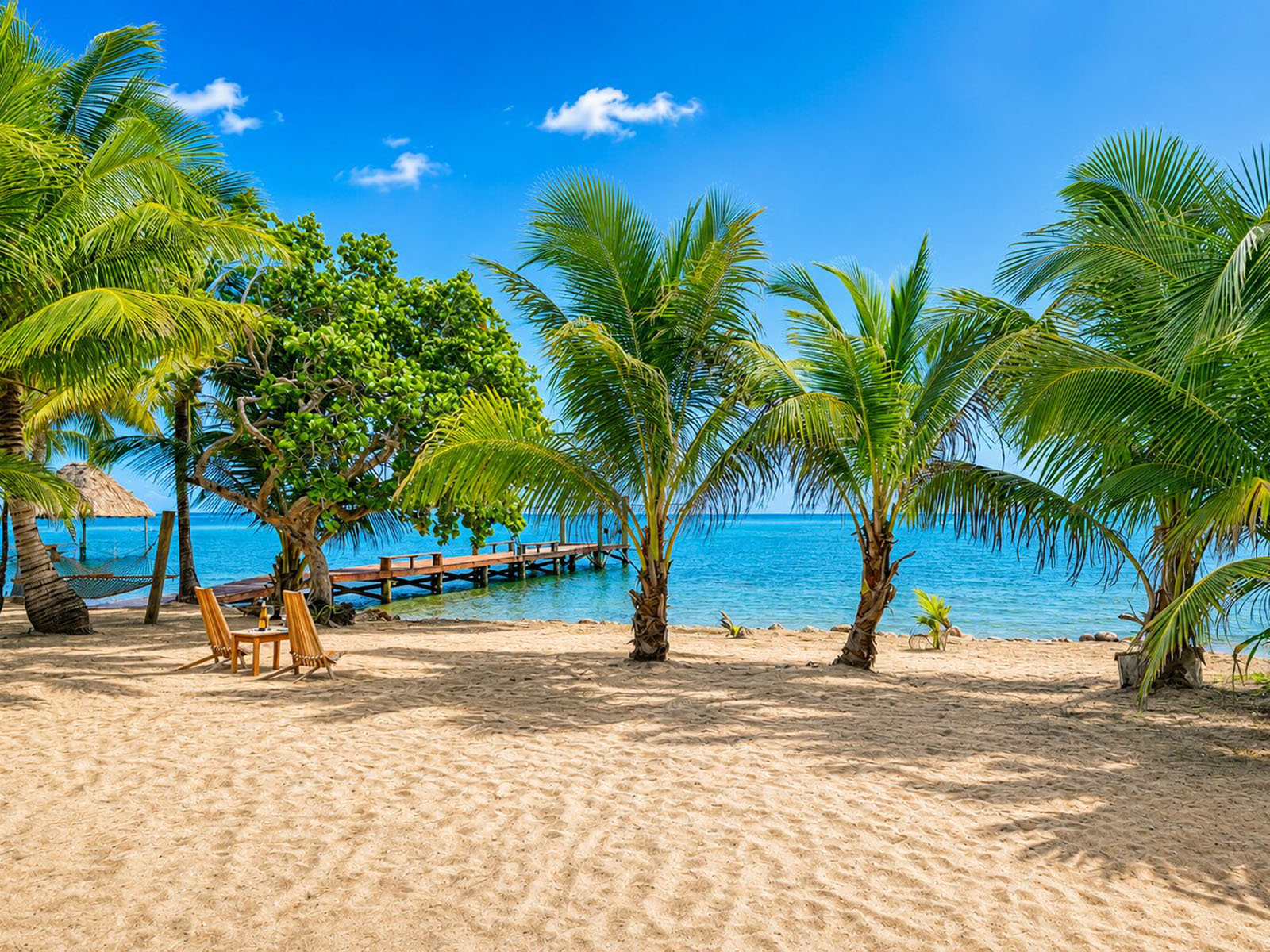 Beachfront Photo 1