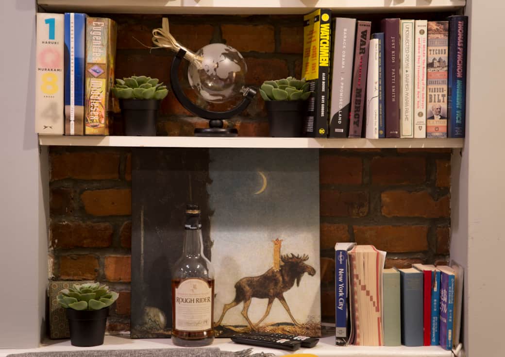 Living room library