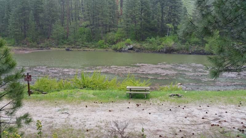 Campsite 44 2