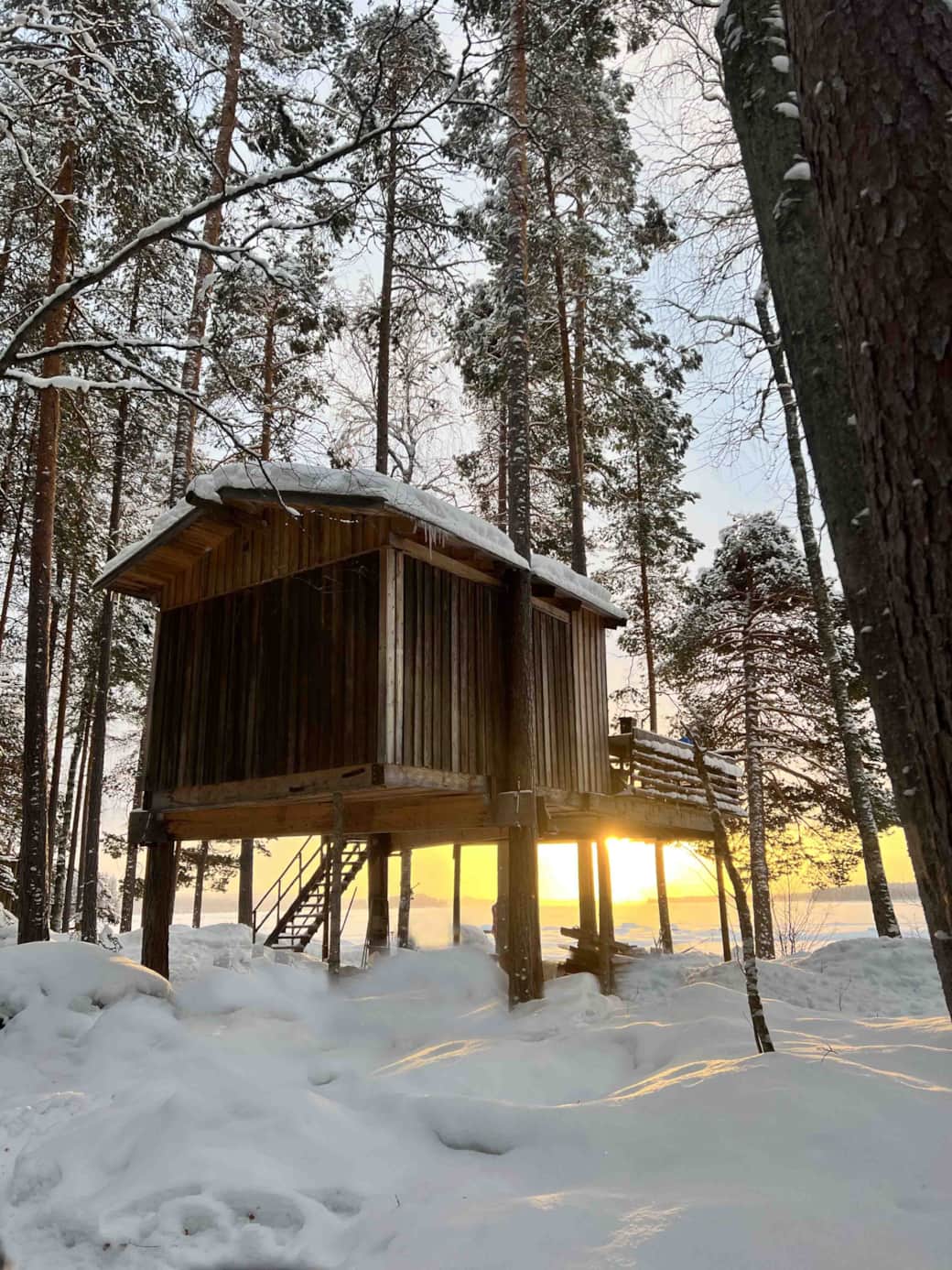 The haven islands maison le loup cabane dans les arbres anthony verlaine The haven islands maison le loup cabane dans les arbres anthony verlaine