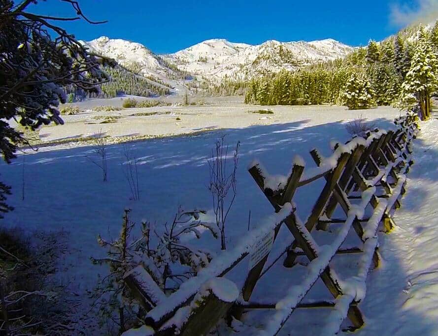 view across the road. view across the road.