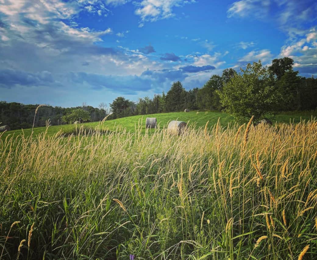 View from the barn, hay bails are seasonal.