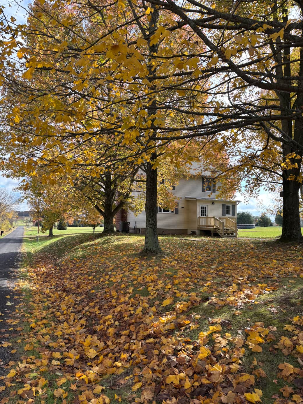 Fall time in Albany Fall time in Albany