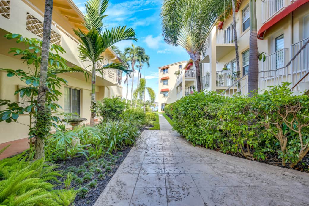 A0 F Pl000005 Lav F M A S