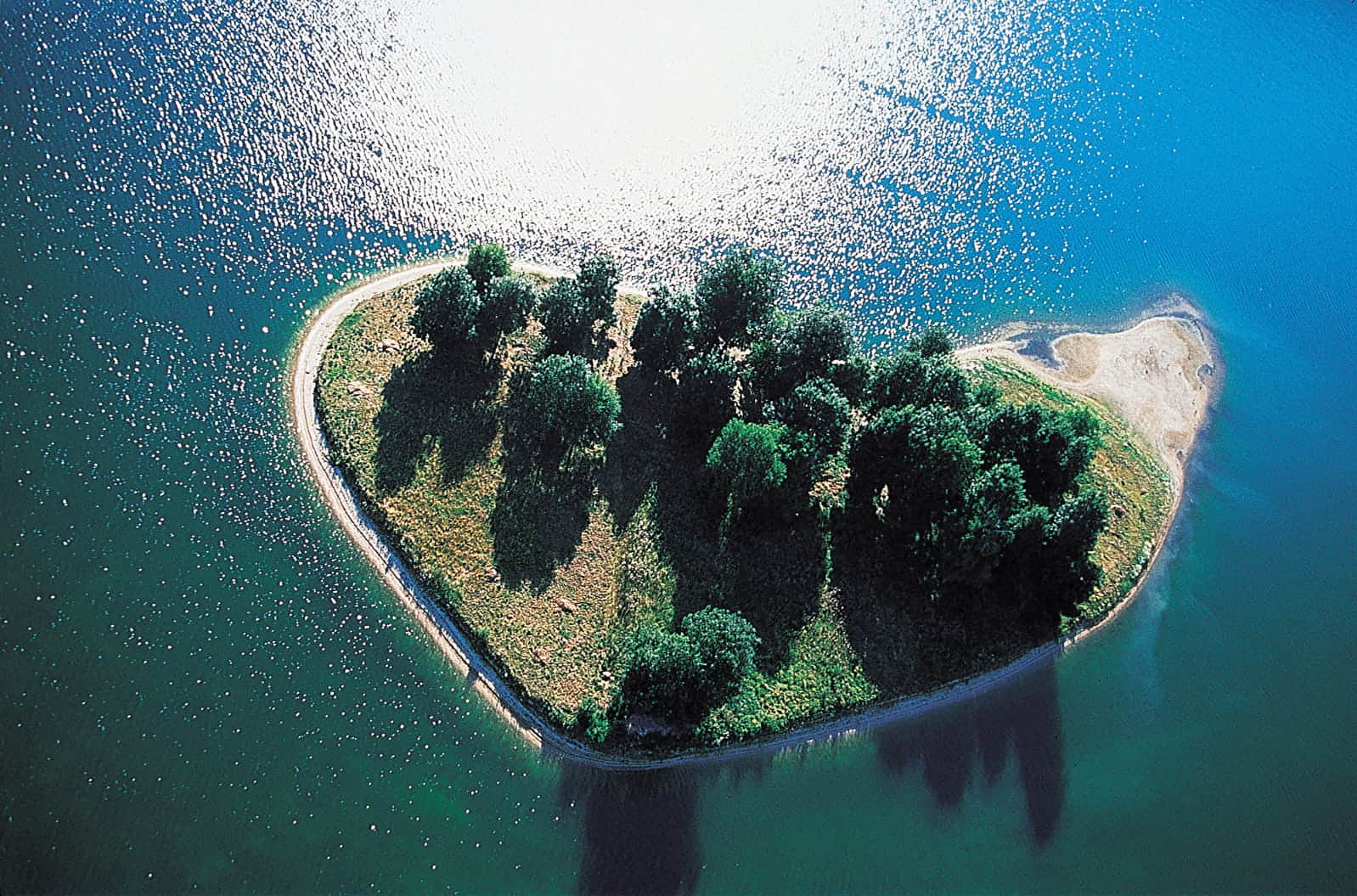 Réserve écologique des Maillys