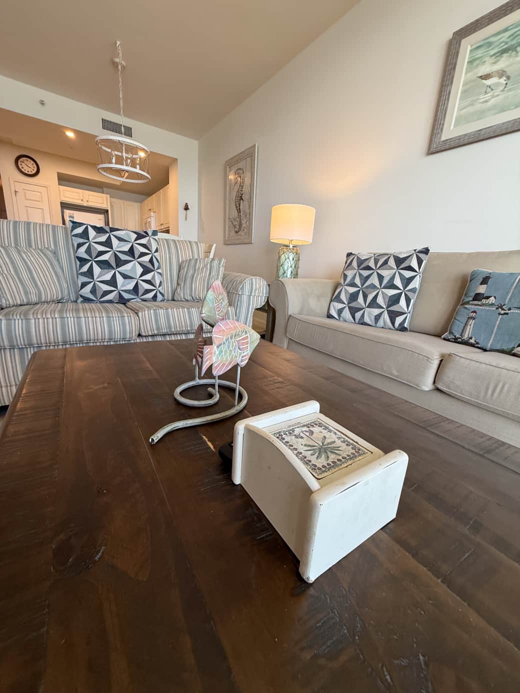 Shark Bite - Summerwinds West Tower 44 of 67