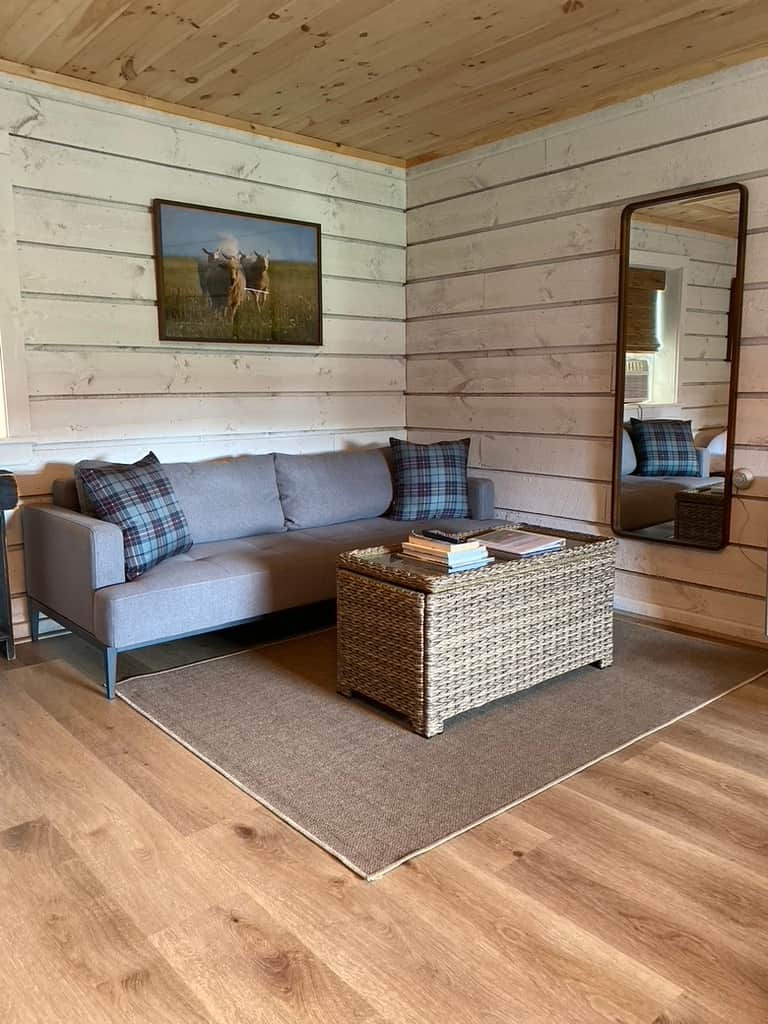 Living Space with Sofa Bed
