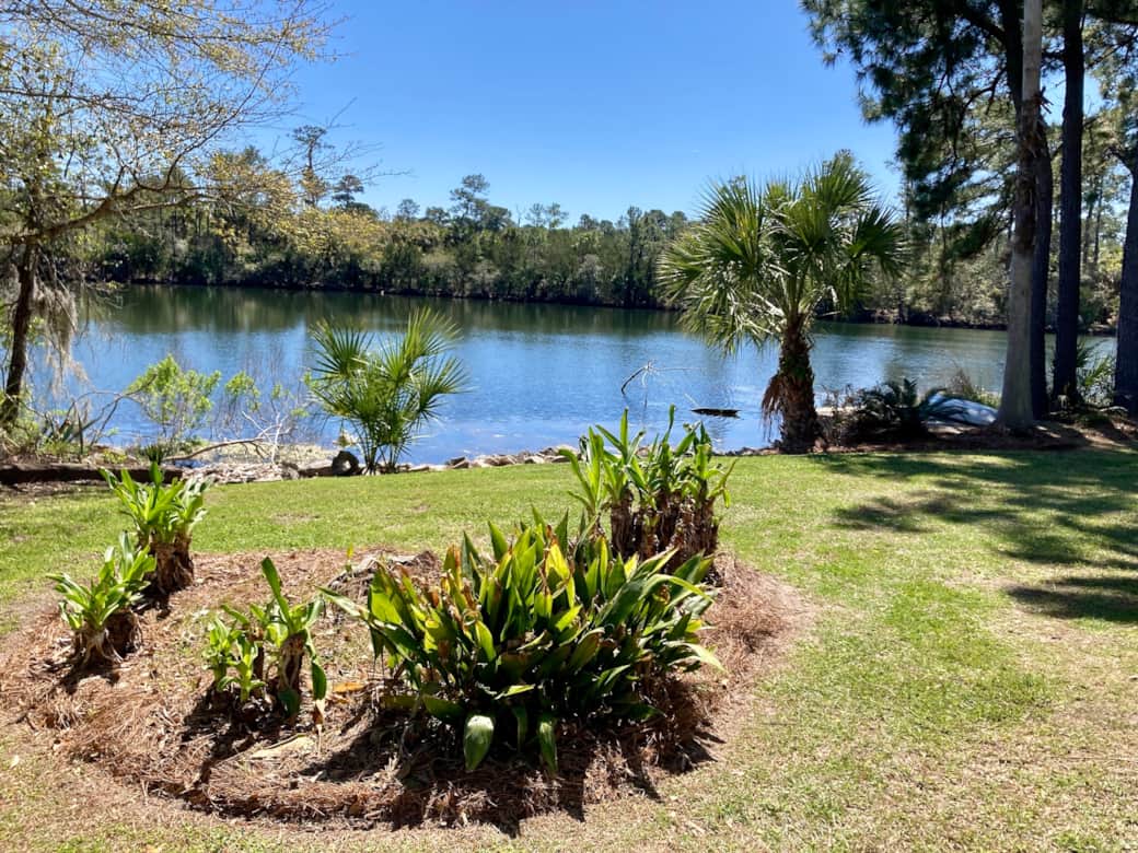 Private backyard with tranquil water views — your own quiet retreat