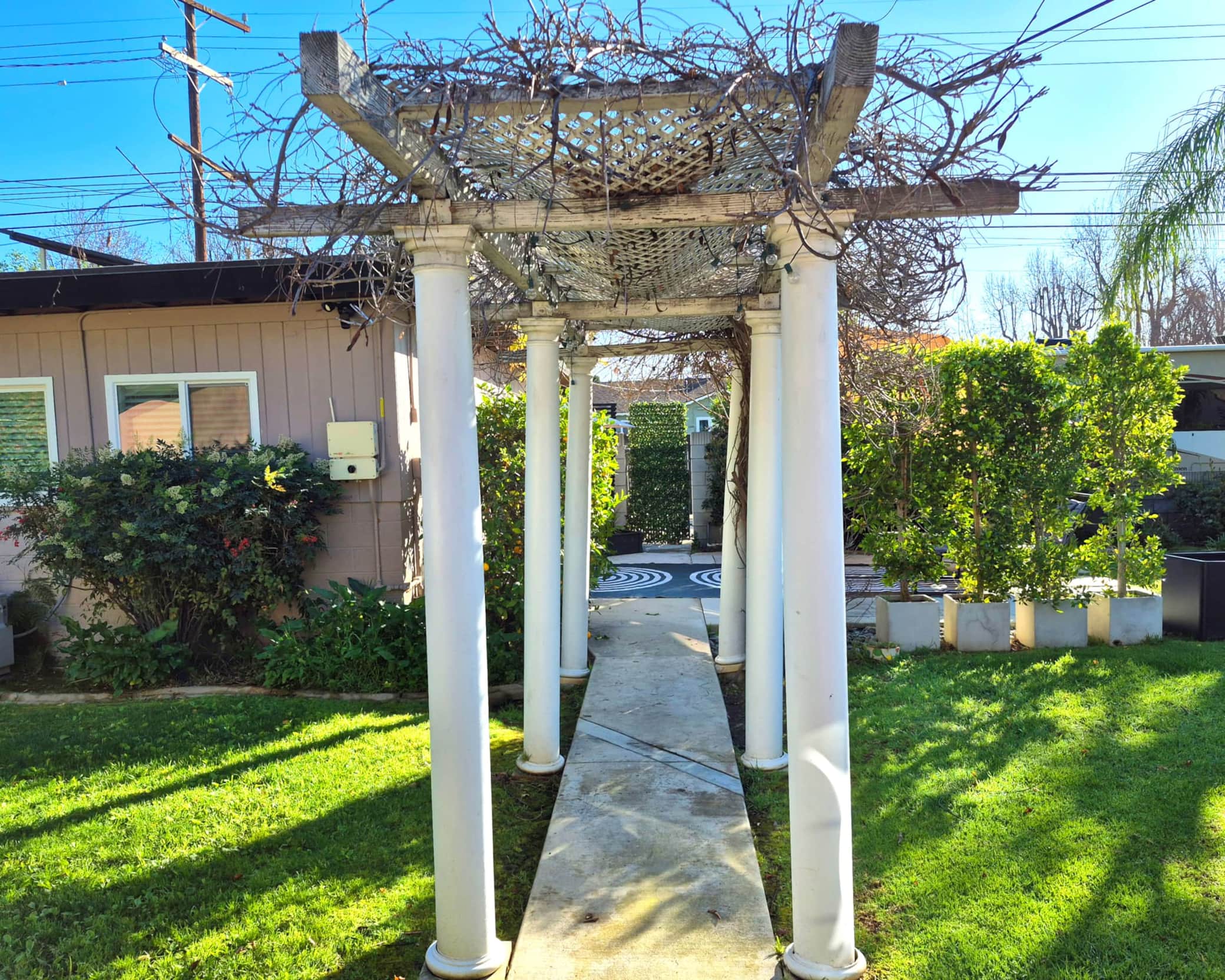 Winter trellis walkway