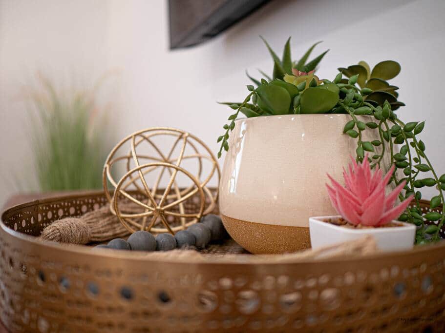 Chic Décor