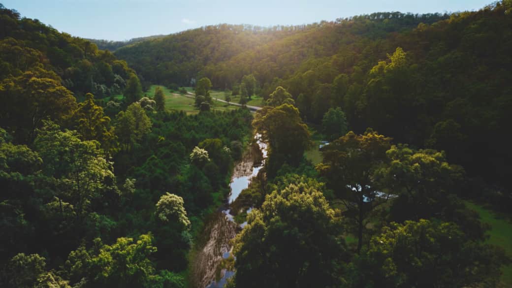 Hunter Valley Hideaway - Valley view