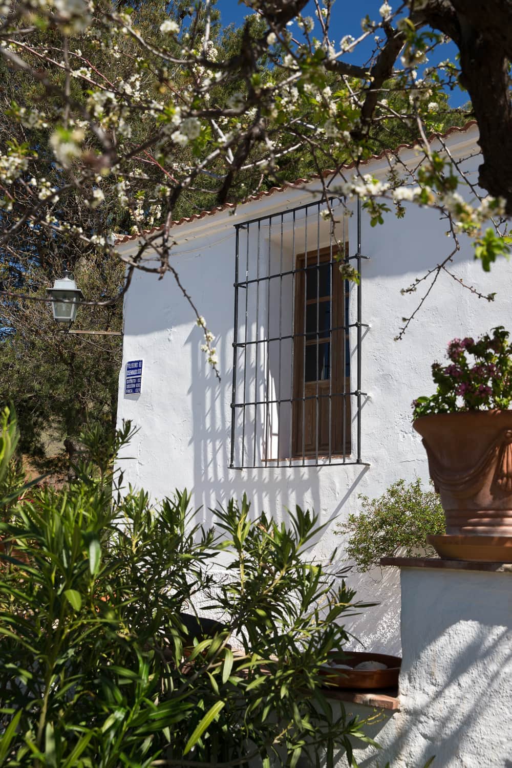 Cortijo Juan Salvador