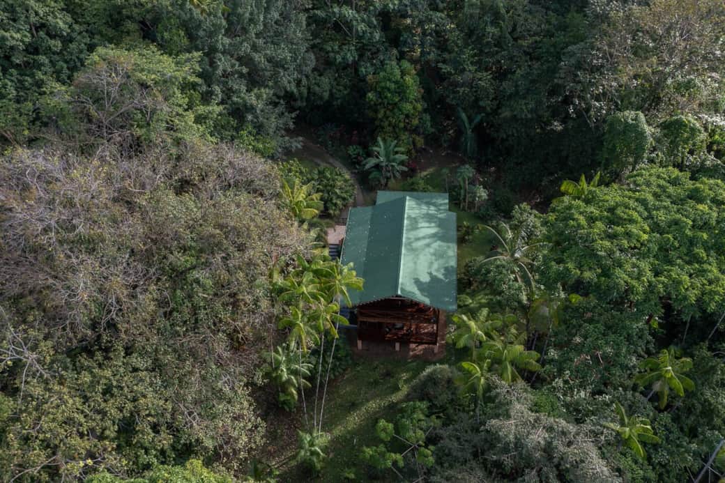 Garden and forest surround the apartment
