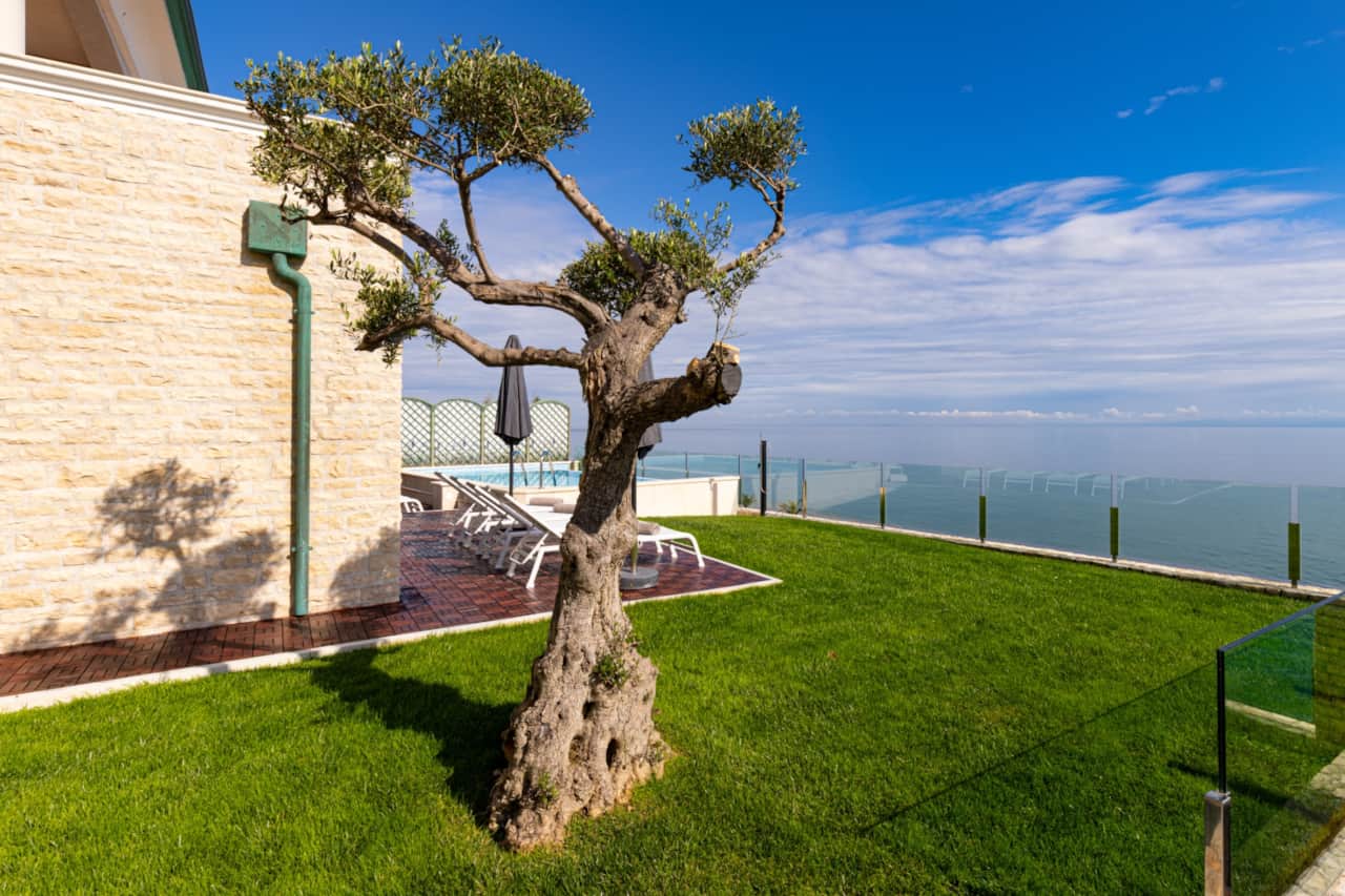 Villa Sarah-Sundeck, Patio, Olive Tree