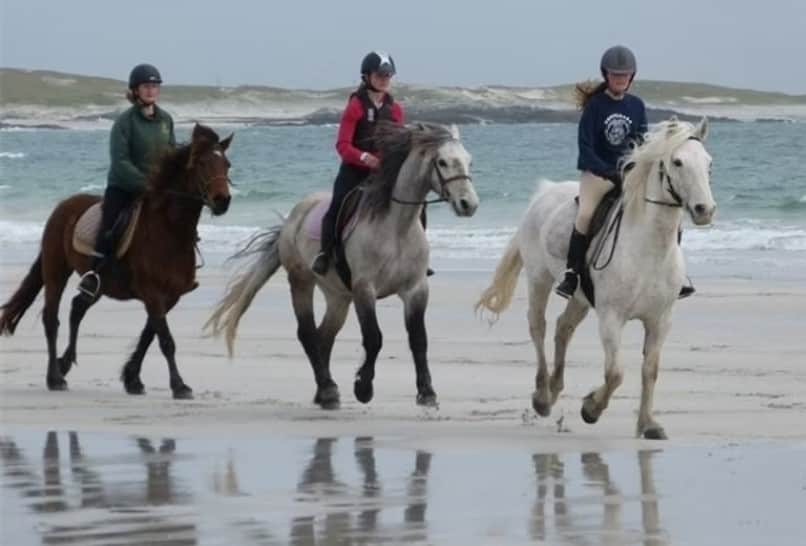 The Point Trekking & Horse Riding Centre