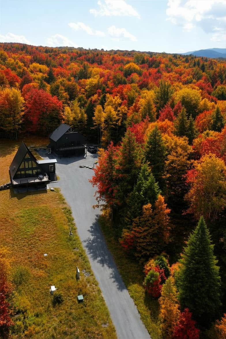 Leaf peeping at it's finest at our Shred Chalet! 