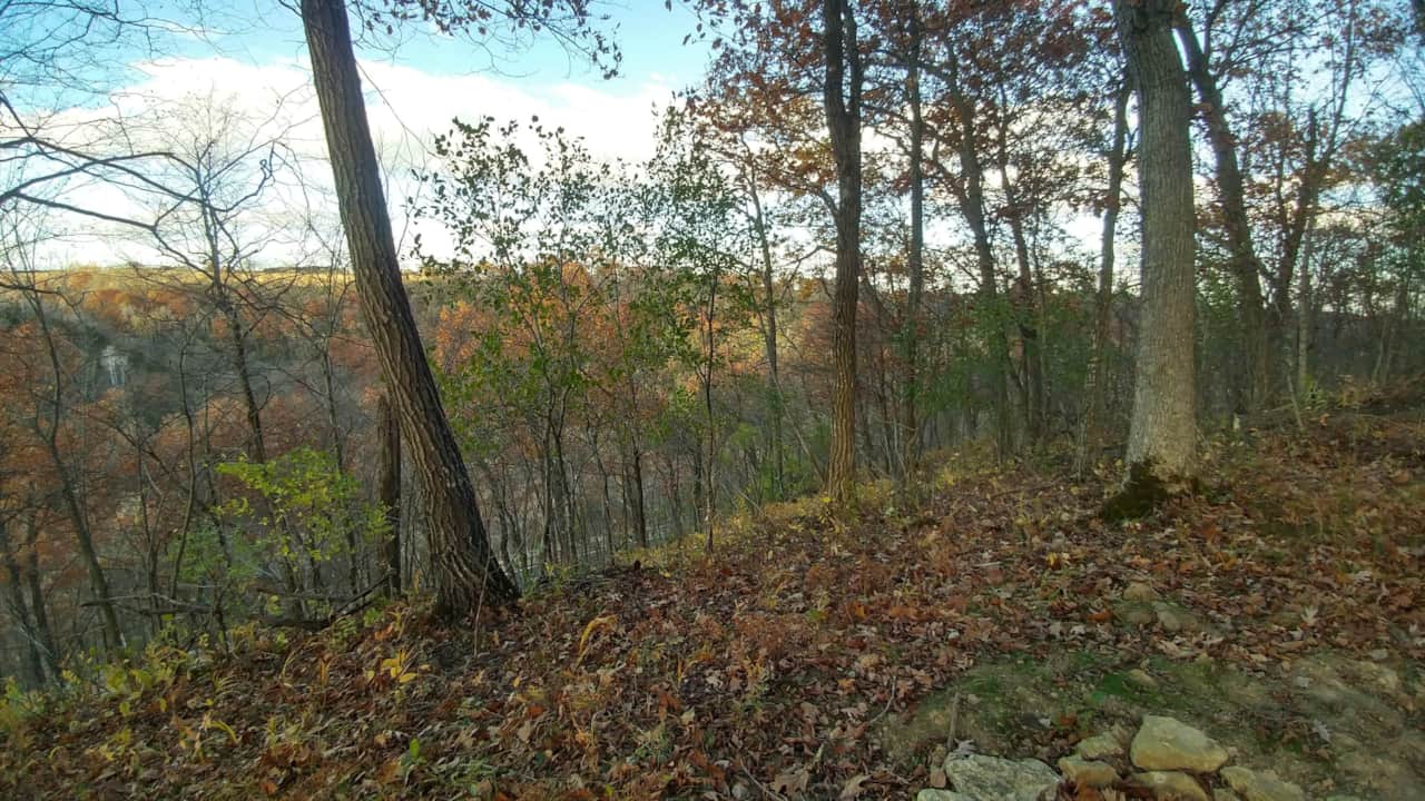 One of many views from the top of the bluff