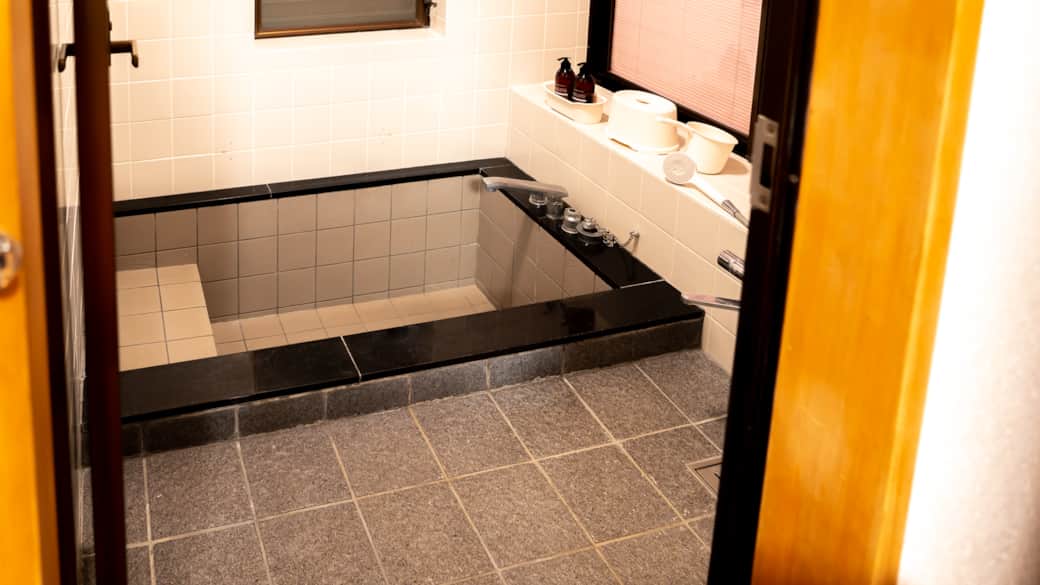Large 2 person bath and shower
