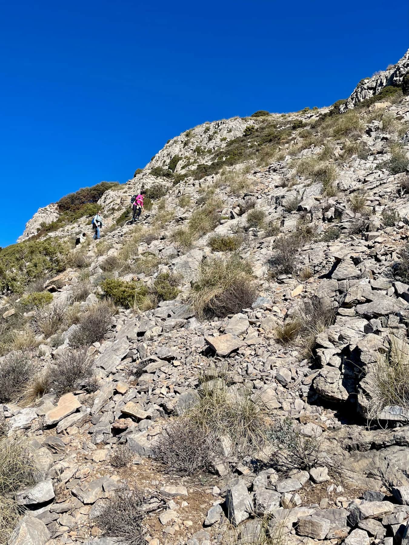 Western slope of El Cielo mountain in the Sierras of Tejeda and Almijara