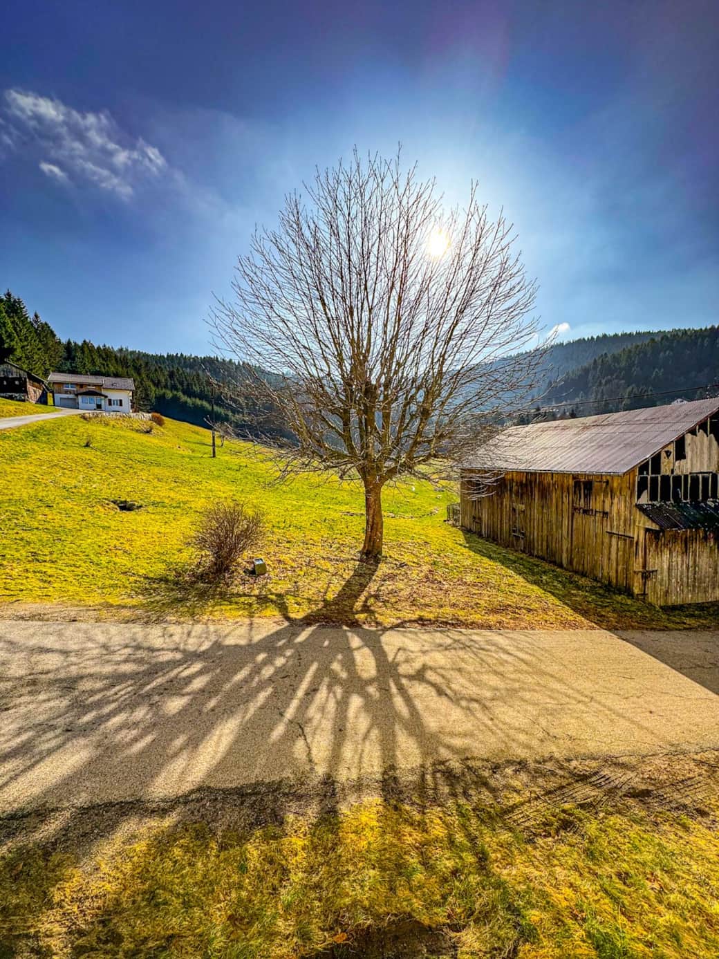 Vue du gîte
