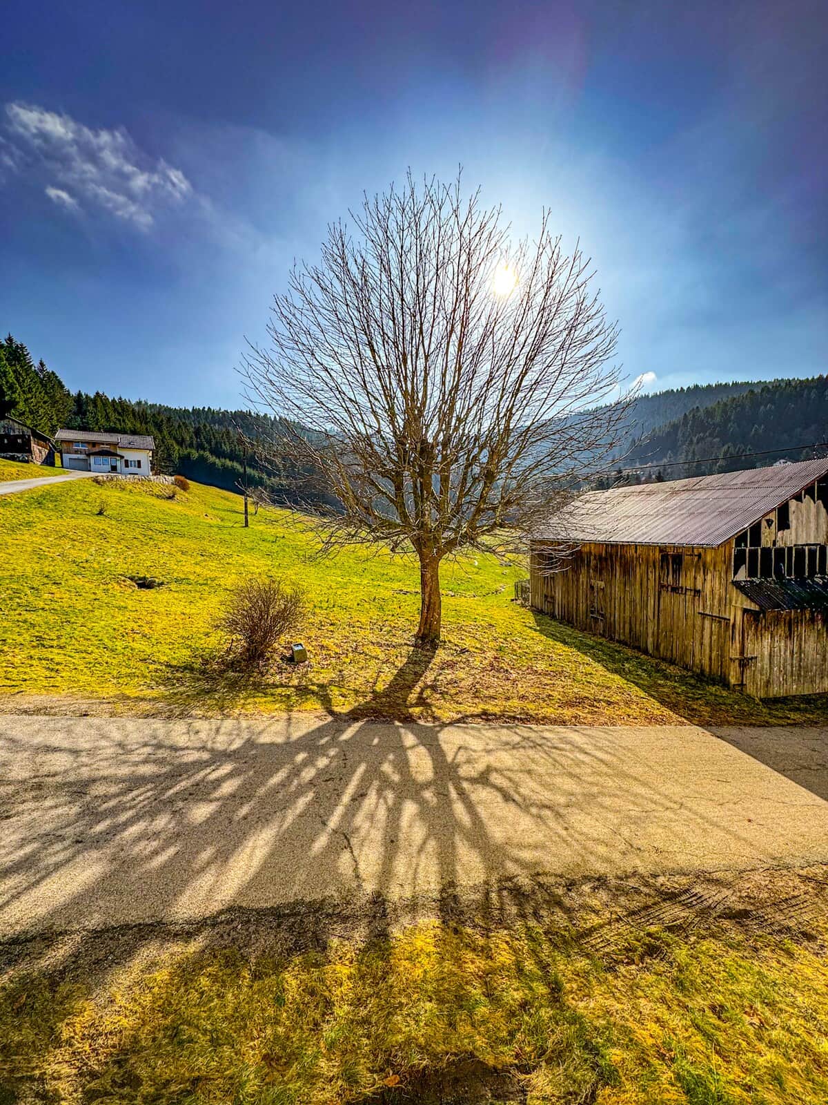 Vue du gîte