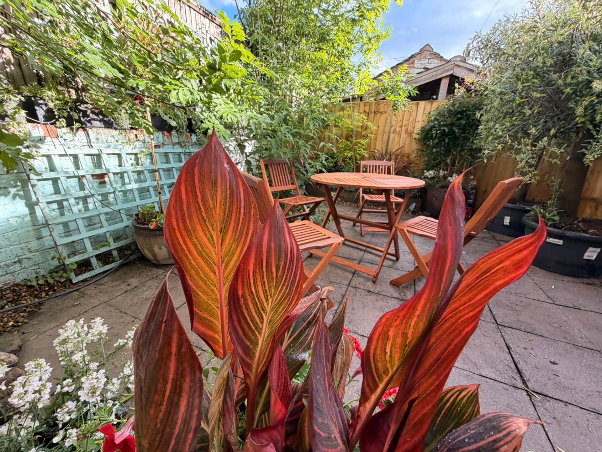Colourful flowers in pots in the courtyard garden