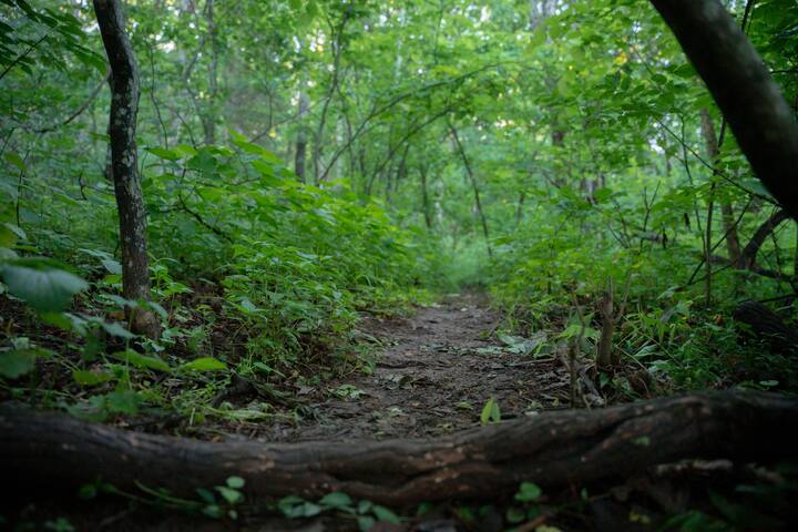 The Shenandoah National Park is a short hike away.