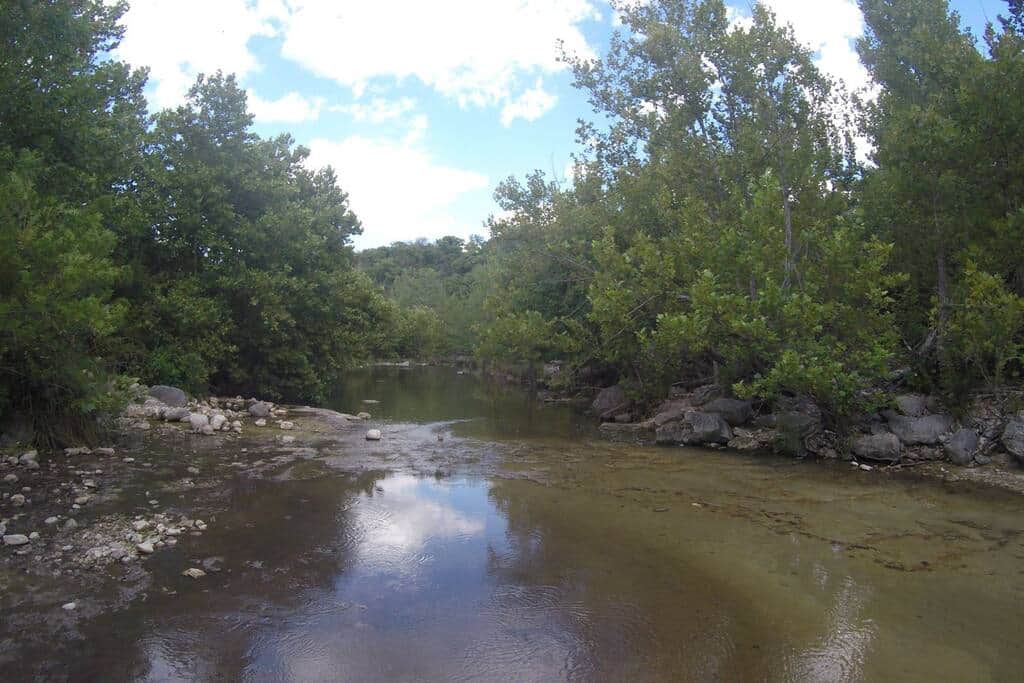 Part of the 1/3 mile of creek-front behind our cabins.