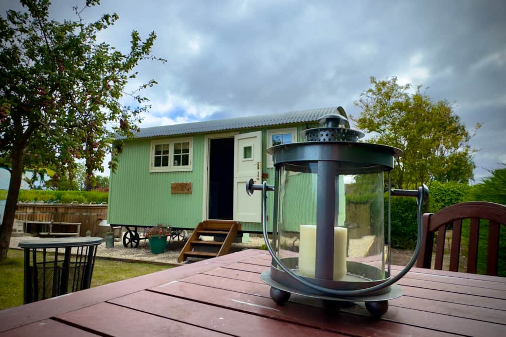Tawny through lantern