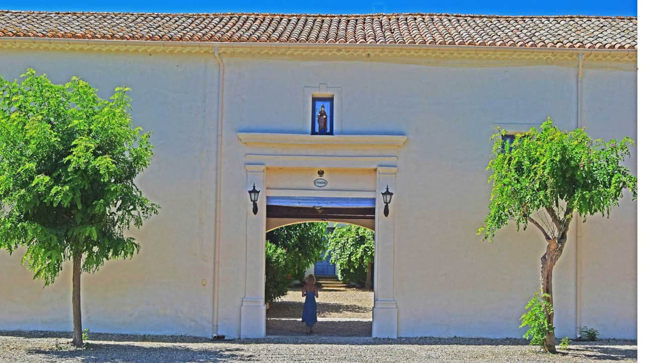 Domaine Saint Ferreol Estate & Vines