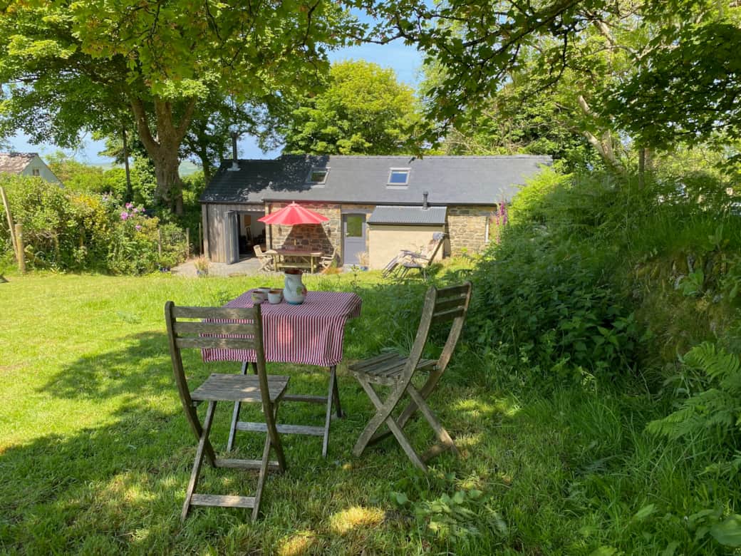 Shady spot under the tree
