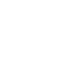 Palm Villa