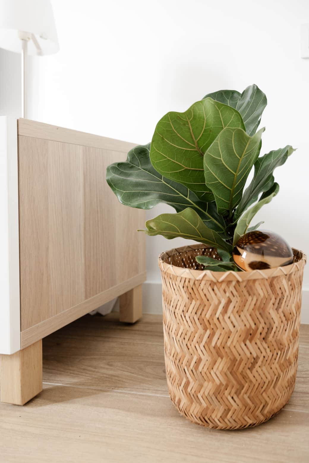 Detalles del salón
