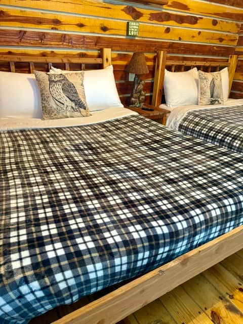 Cute owl bedding