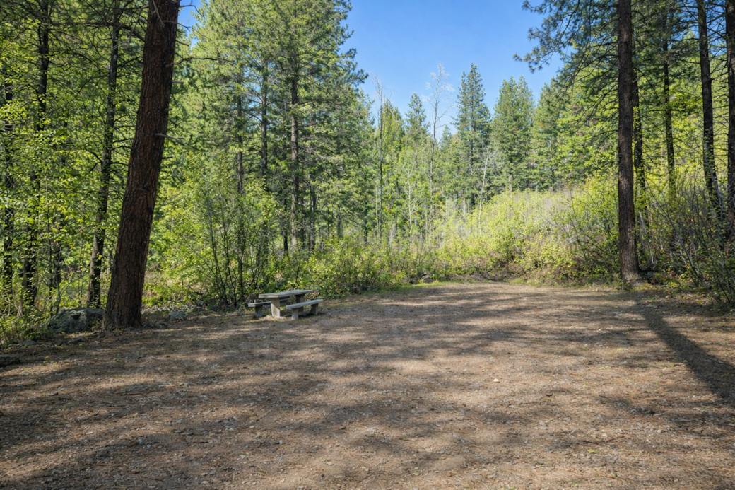 Upper coho 2 Upper coho 2