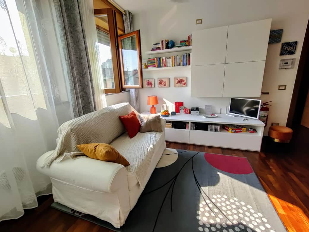 Bright living room with sofa bed, bookcase and television