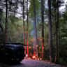Rental image