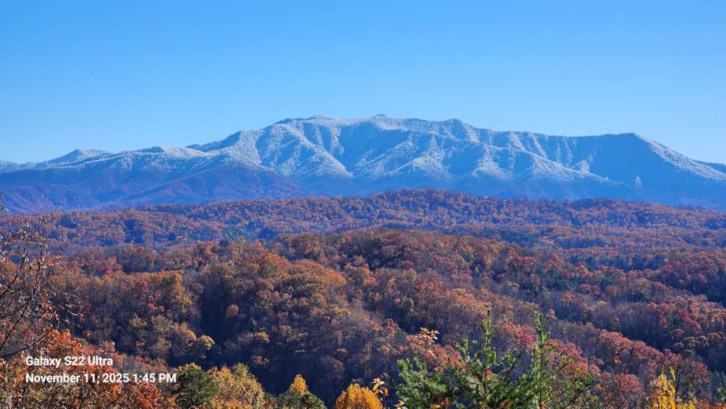 1000035348 1000035348