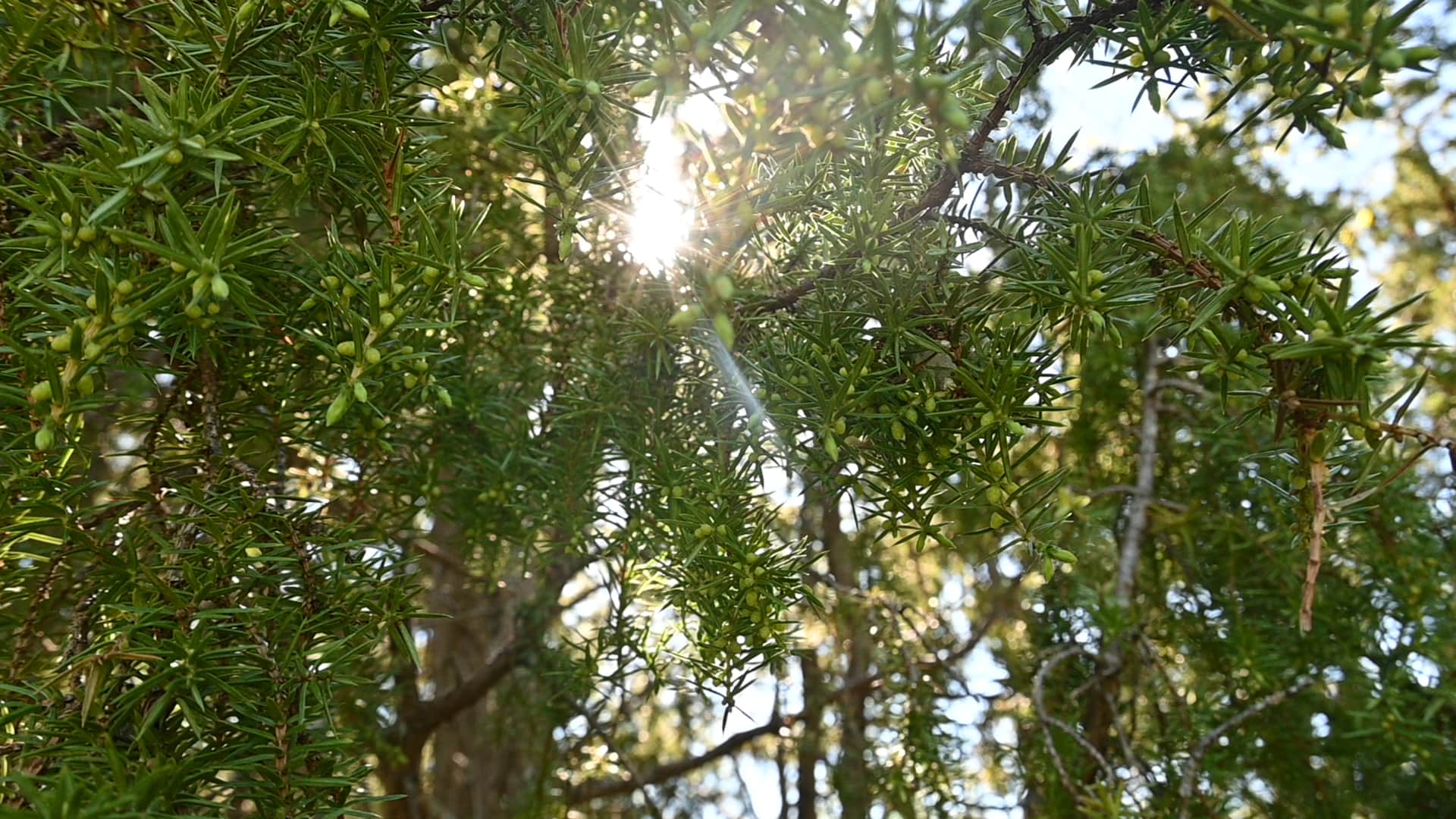 https://l.icdbcdn.com/oh/6edfa81e-2f61-447e-8b8c-03daf3ad3931.jpg?w=2080-3