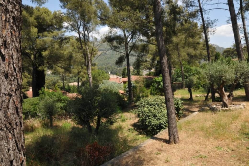 La jardin, un grand terrain arboré, régal des cigales