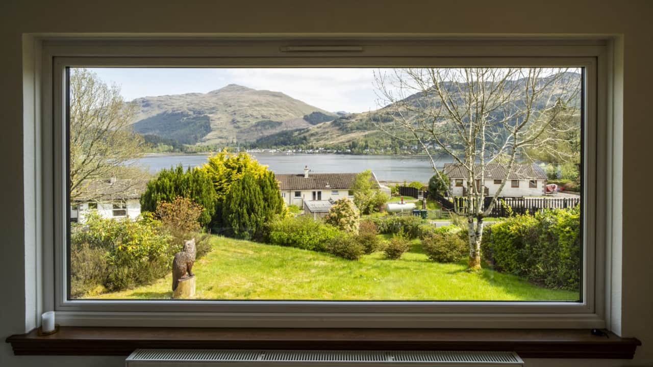 That view!