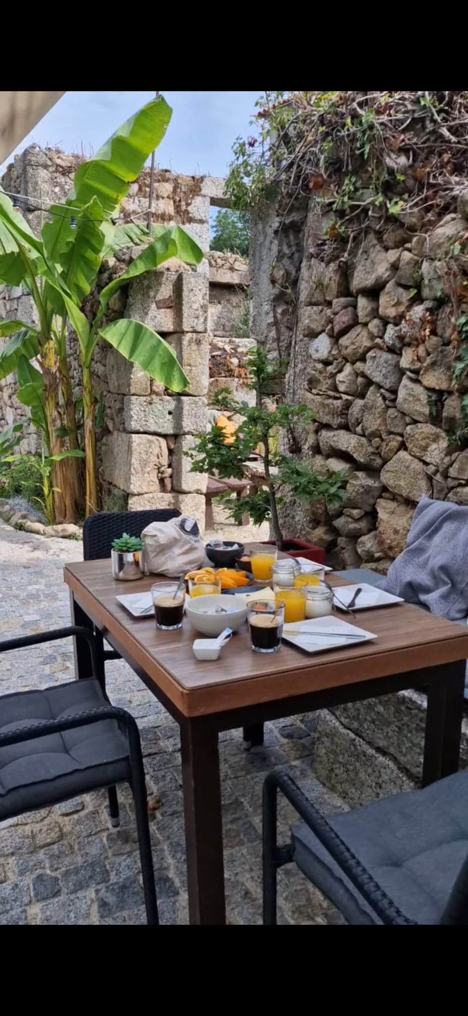 Breakfast jungle Ruine setting