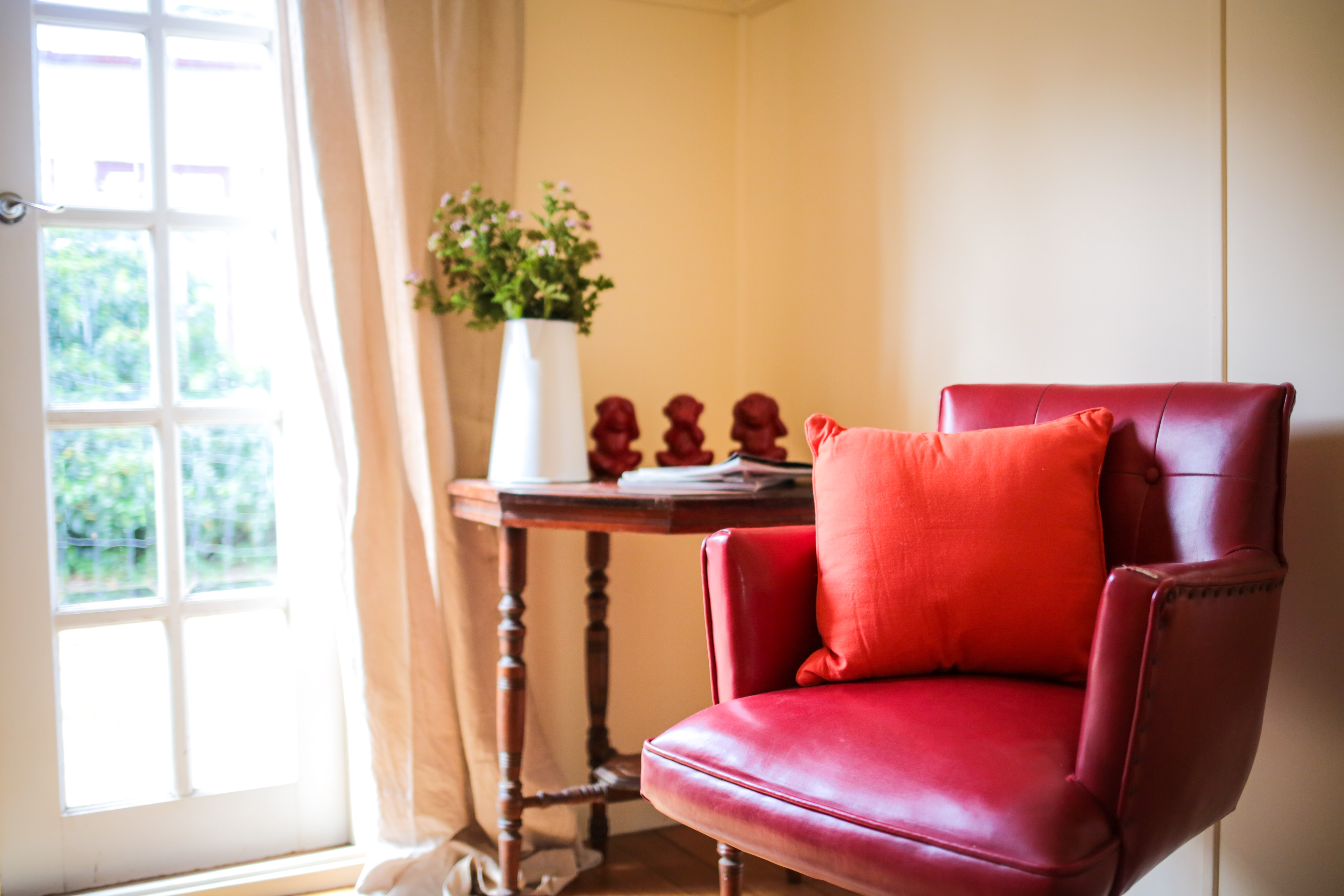 Smiths Cottage Sunny  reading room 