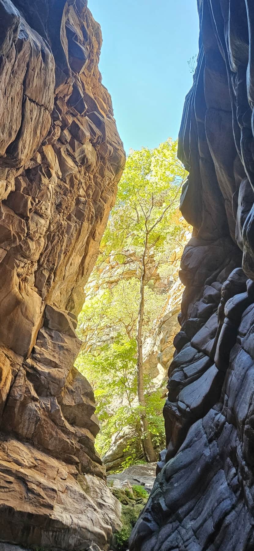 The slot canyon in Ramsey Canyon is amazing.  You can access it through the Coronado National Forest off of the Hamburg Trail.